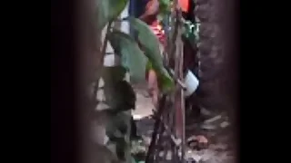 Desi Consequently Pee with the addition of Piss1&period;AVI